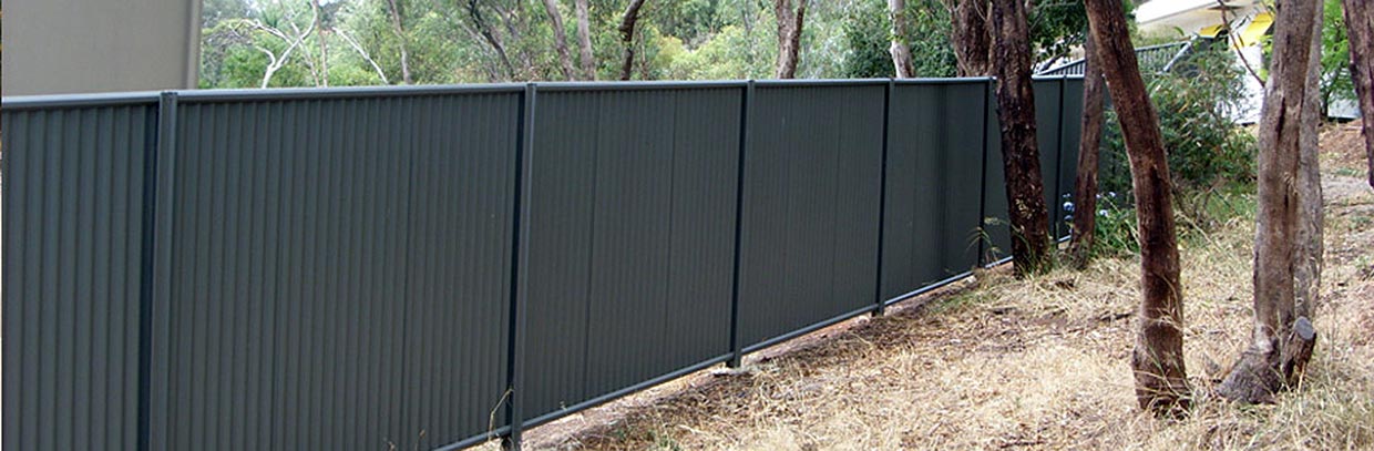 Mr Fencing